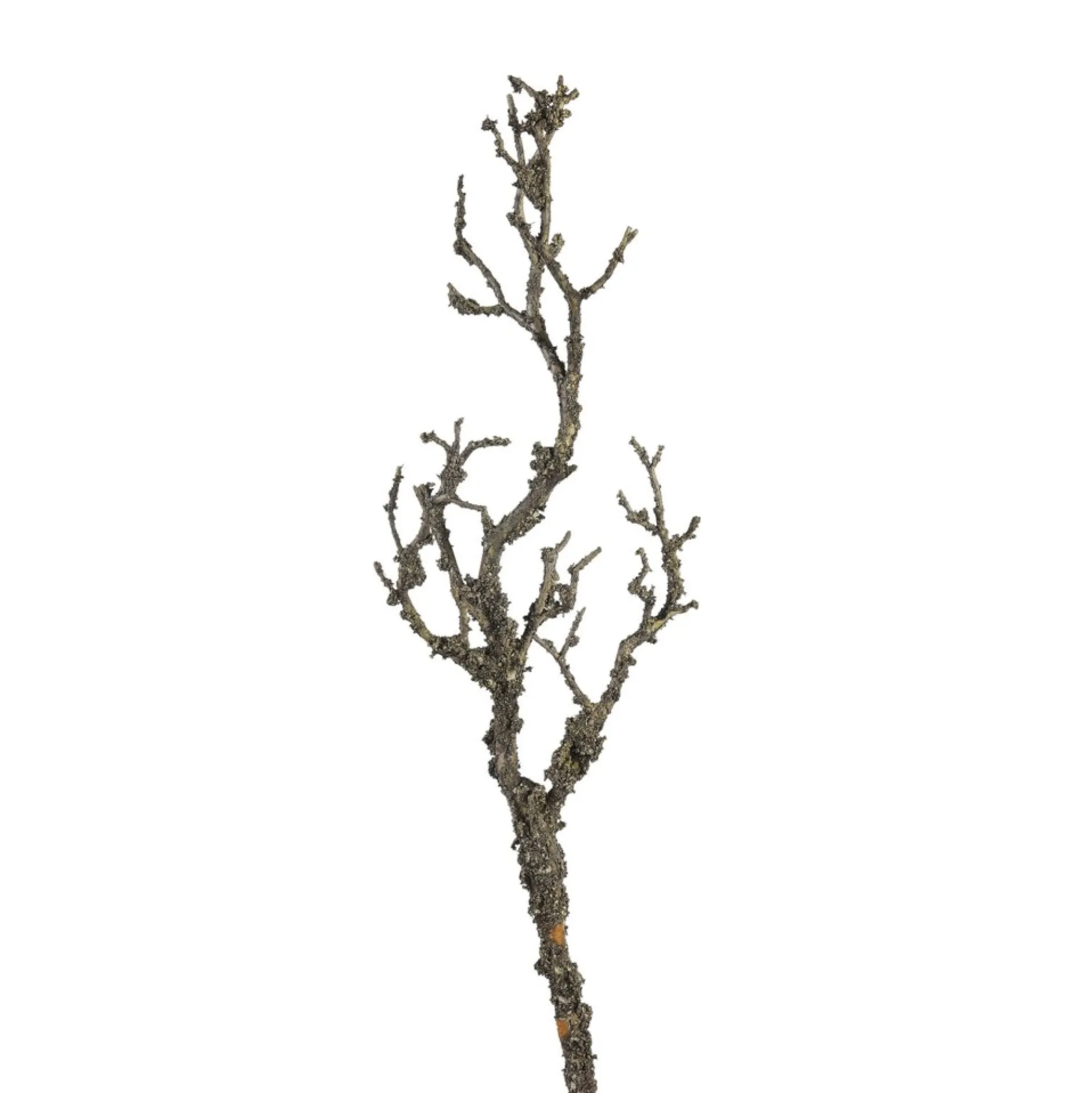 Discount Artast Pale Fleurs Individuelles