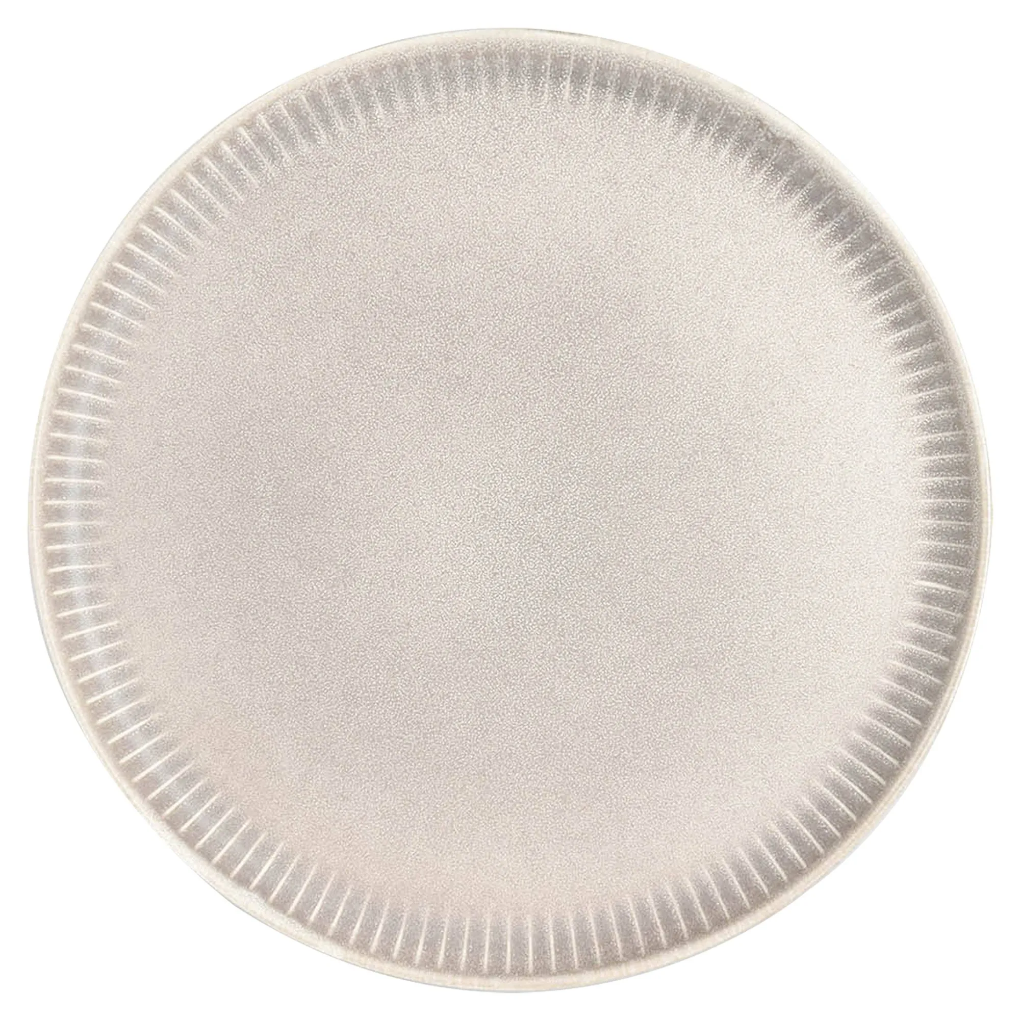 Hot Assiette Nordique Vaisselle