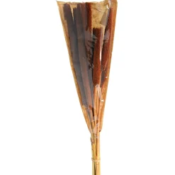 Discount Babla Aux Fleurs Sechees Fleurs Individuelles