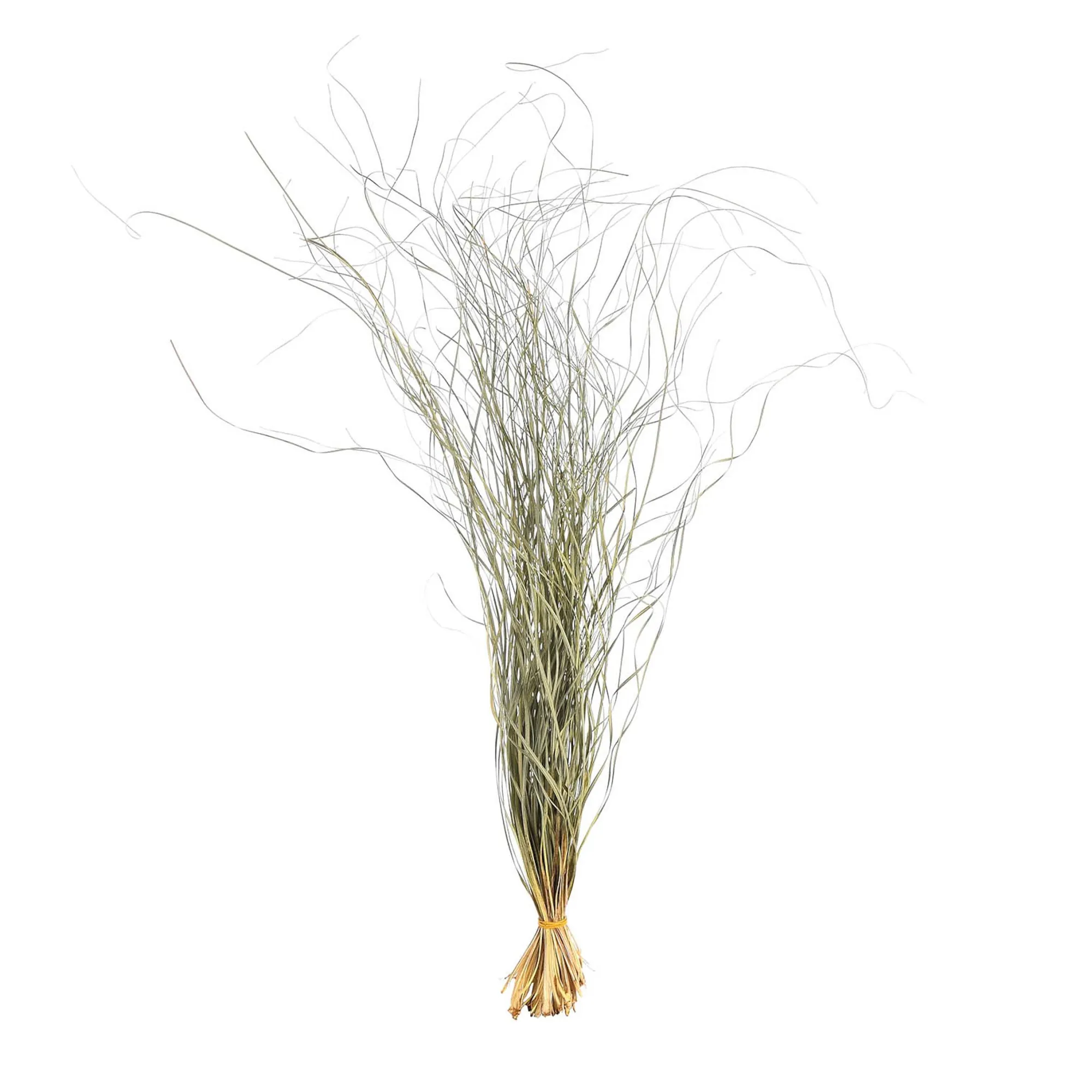 Cheap Botte D'Herbe Seche Fleurs Individuelles