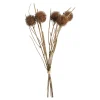Clearance Bouquet De Fleurs Artificielles Thorn Fleurs Individuelles