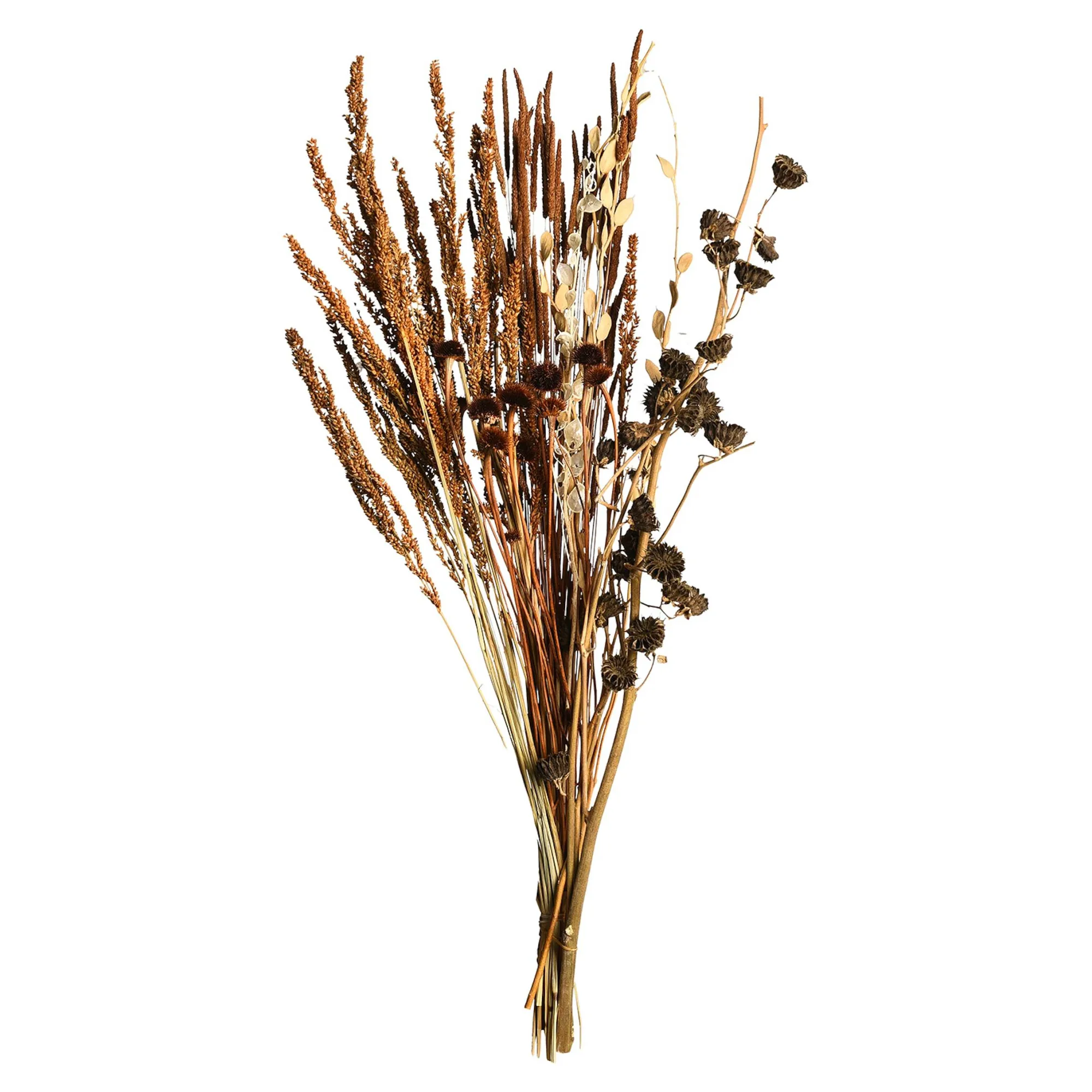 Hot Bouquet De Fleurs Sechees Bouquets