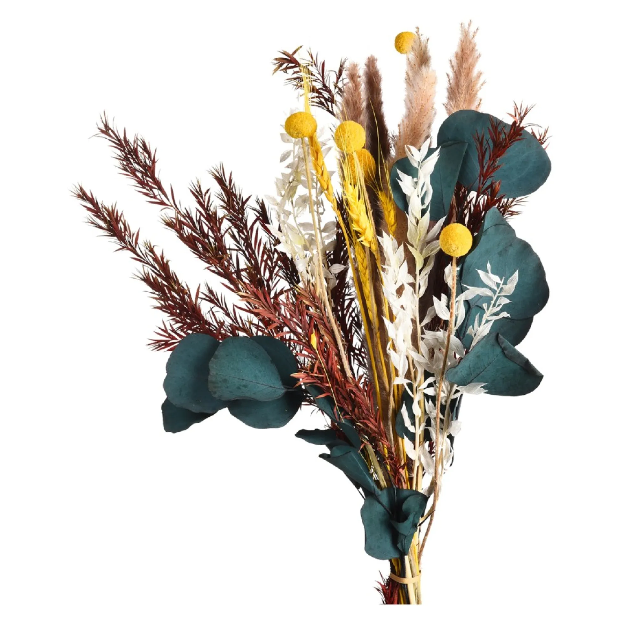 Flash Sale Bouquet De Fleurs Sechees Idées De Cadeaux