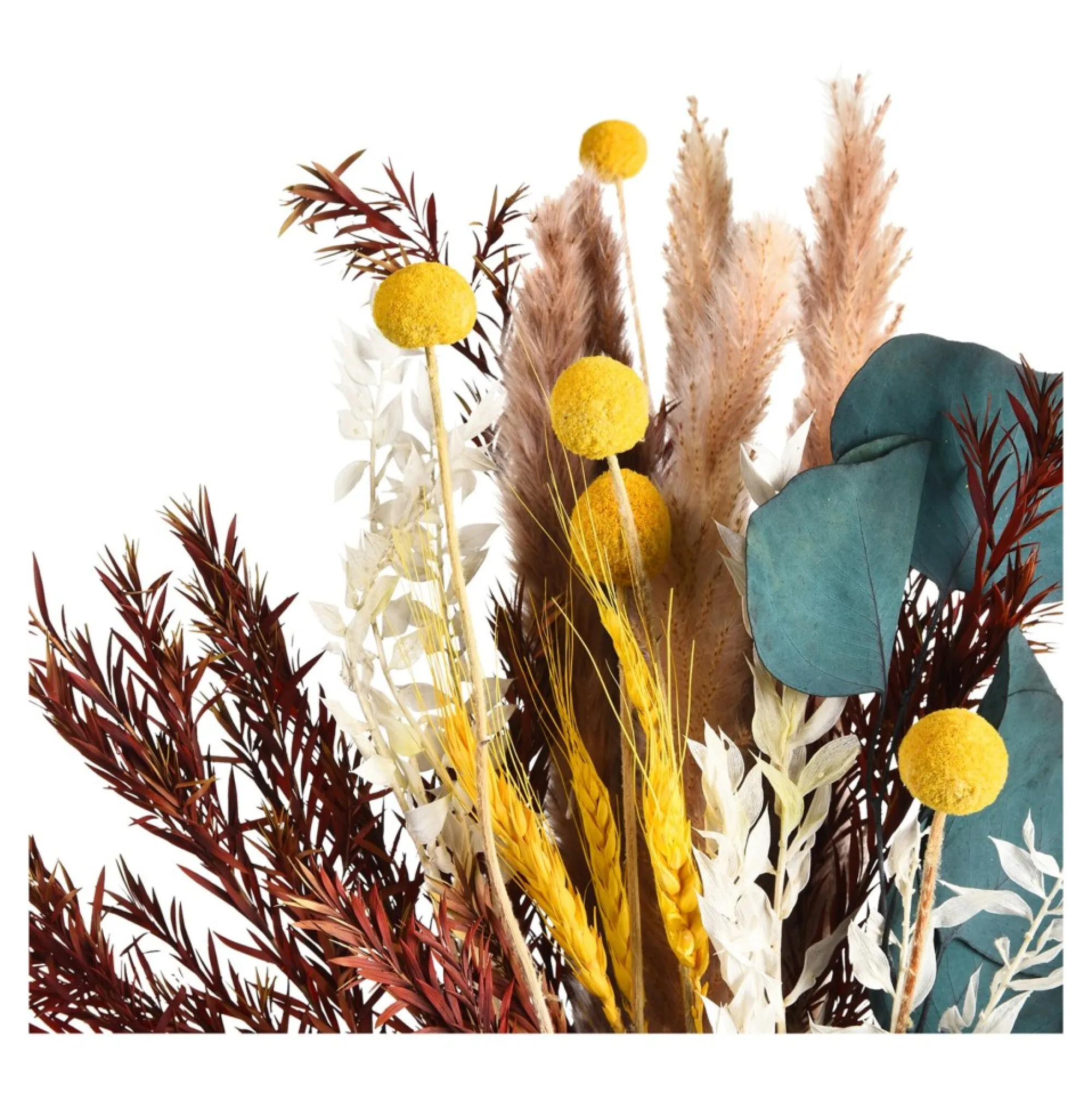 Flash Sale Bouquet De Fleurs Sechees Idées De Cadeaux