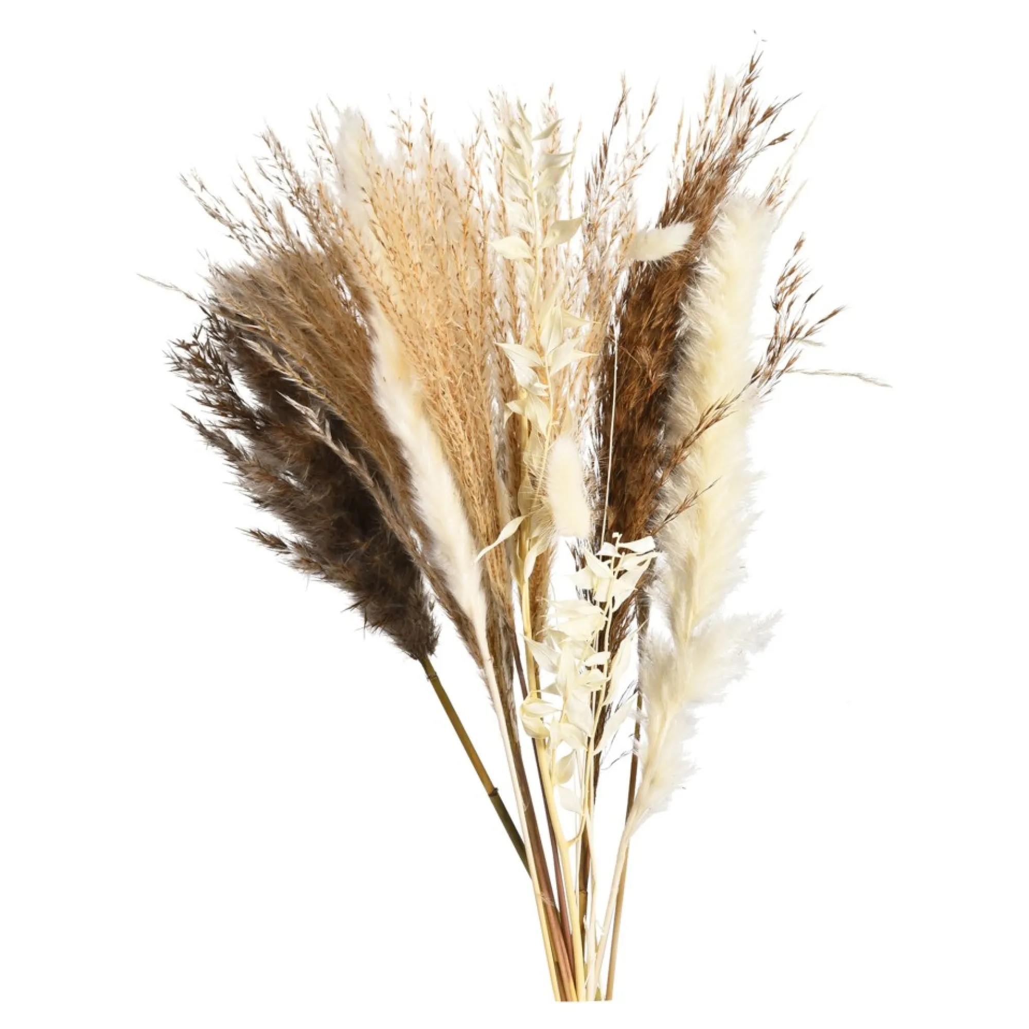 Flash Sale Bouquet De Fleurs Sechees Idées De Cadeaux