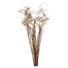 Sale Bouquet De Fleurs Sechees Curly Fleurs Individuelles