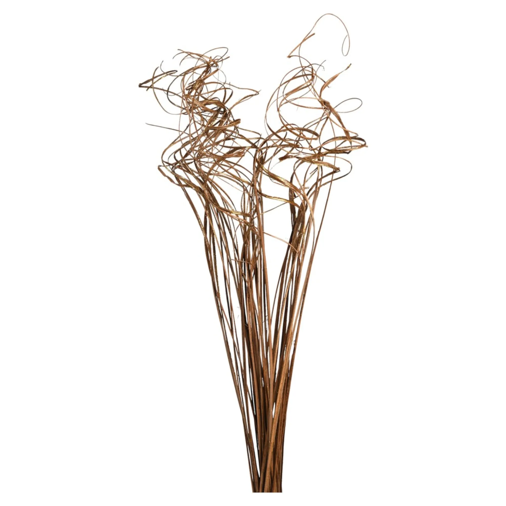 Sale Bouquet De Fleurs Sechees Curly Fleurs Individuelles