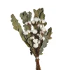 Flash Sale Bouquet De Fleurs Sechees En Coton Bouquets