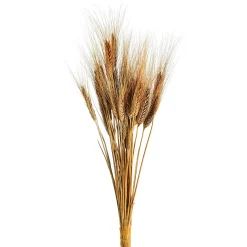 Shop Bouquet De Fleurs Sechees Epis Fleurs Individuelles