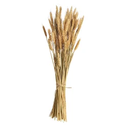 Cheap Bouquet De Fleurs Sechees Epis Fleurs Individuelles