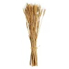 Cheap Bouquet De Fleurs Sechees Epis Fleurs Individuelles
