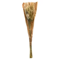 Clearance Bouquet De Fleurs Sechees Herbe De Velours Fleurs Individuelles
