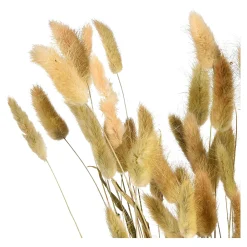 Clearance Bouquet De Fleurs Sechees Herbe De Velours Fleurs Individuelles