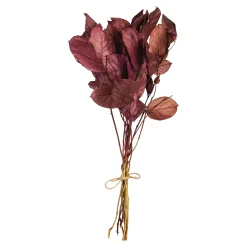Store Bouquet De Fleurs Sechees Leaves Fleurs Individuelles