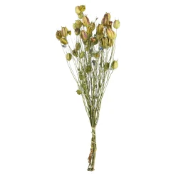 Store Bouquet De Fleurs Sechees Nigella Fleurs Individuelles