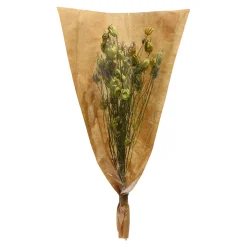 Store Bouquet De Fleurs Sechees Nigella Fleurs Individuelles