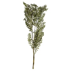Store Bouquet De Fleurs Sechees Ruscus Fleurs Individuelles