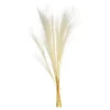 Outlet Bouquet De Fleurs Sechees Scintillantes Miscanthus Idées De Cadeaux