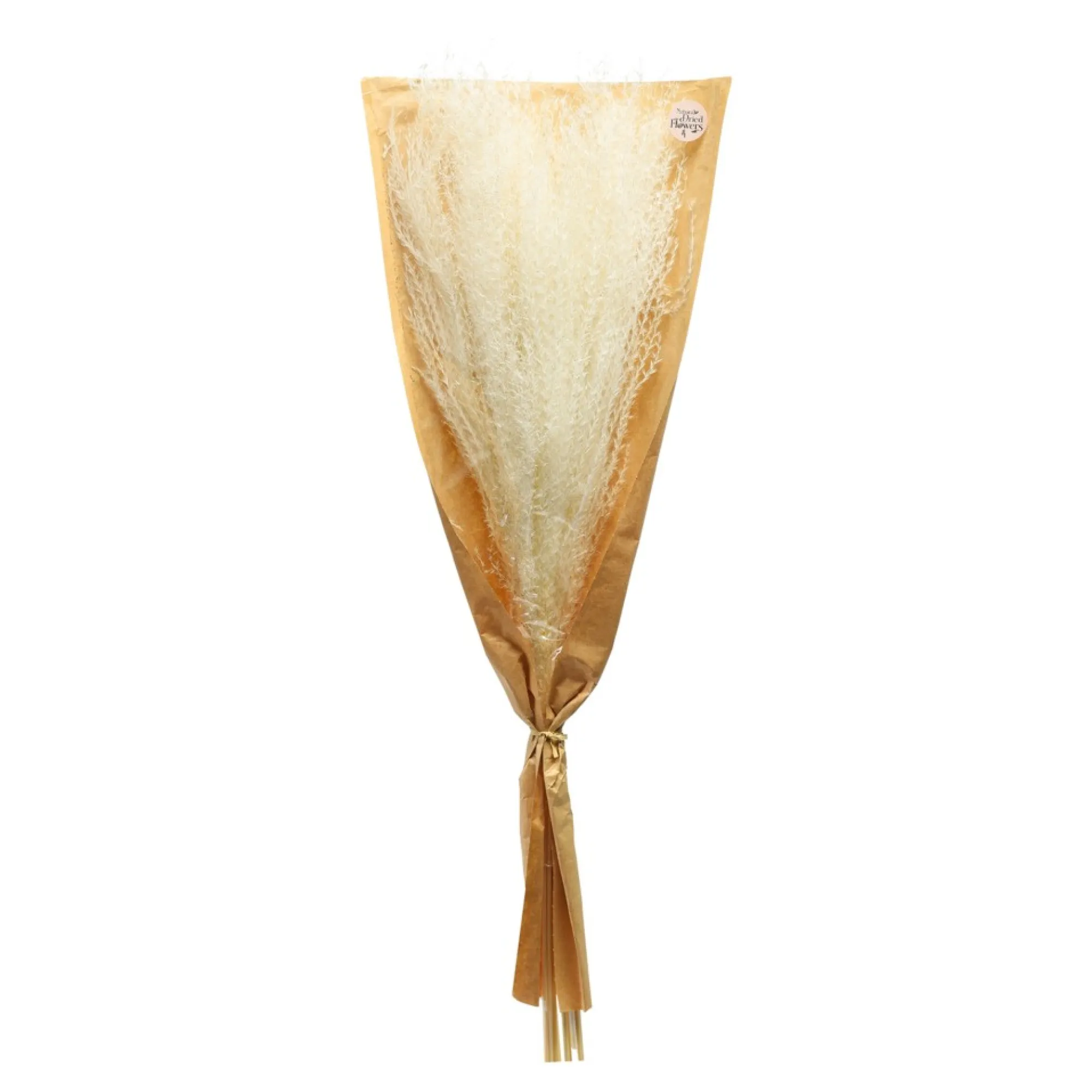Outlet Bouquet De Fleurs Sechees Scintillantes Miscanthus Idées De Cadeaux