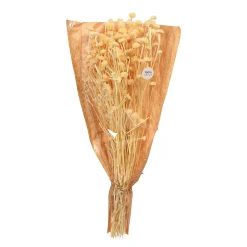 Store Bouquet De Fleurs Sechees Wild Daisy Fleurs Individuelles