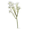 Clearance Branche Artistique Aster De Plage Fleurs Individuelles