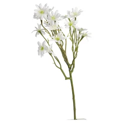 Clearance Branche Artistique Aster De Plage Fleurs Individuelles