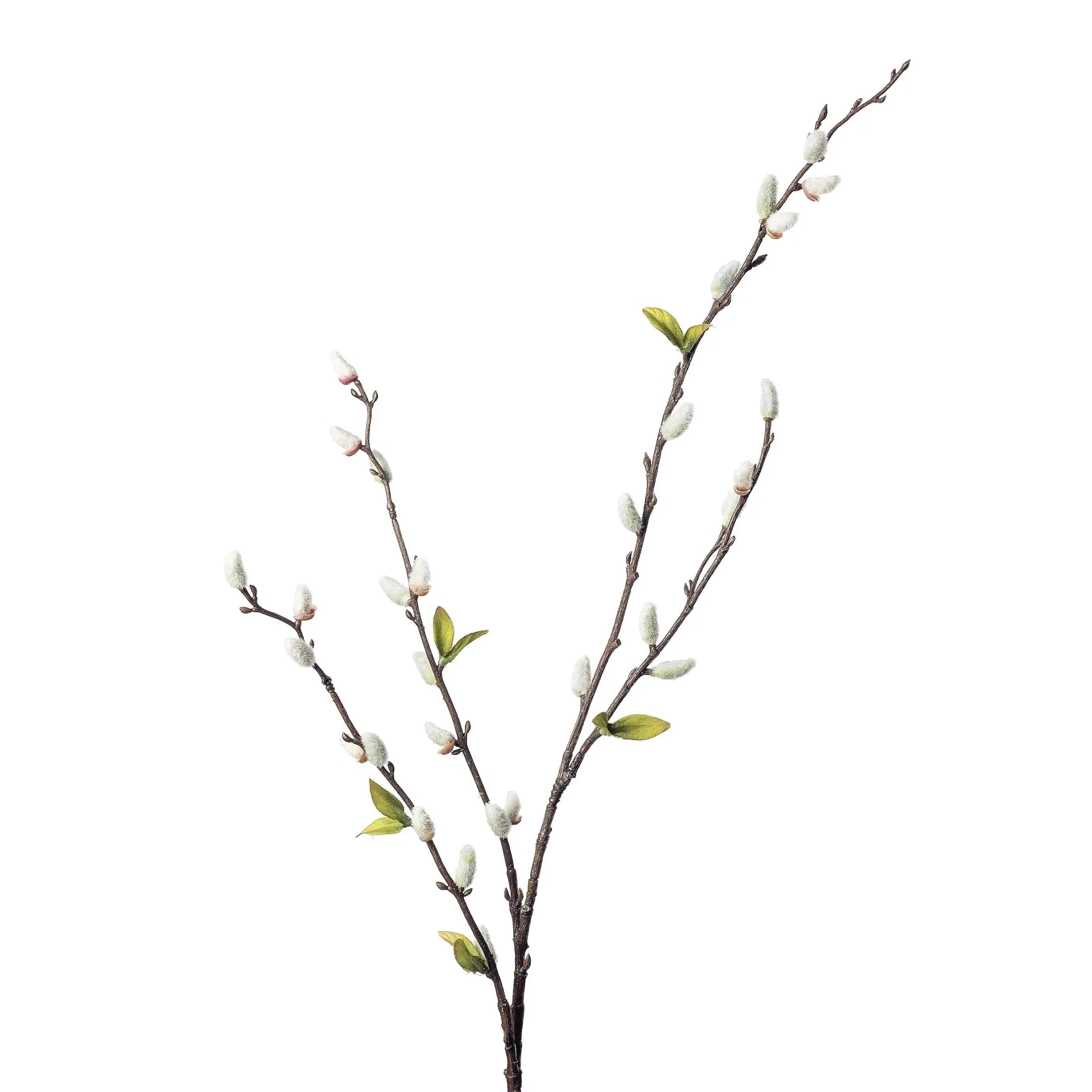 Store Branche Artistique Chaton De Palmier Avec Feuilles Fleurs Individuelles