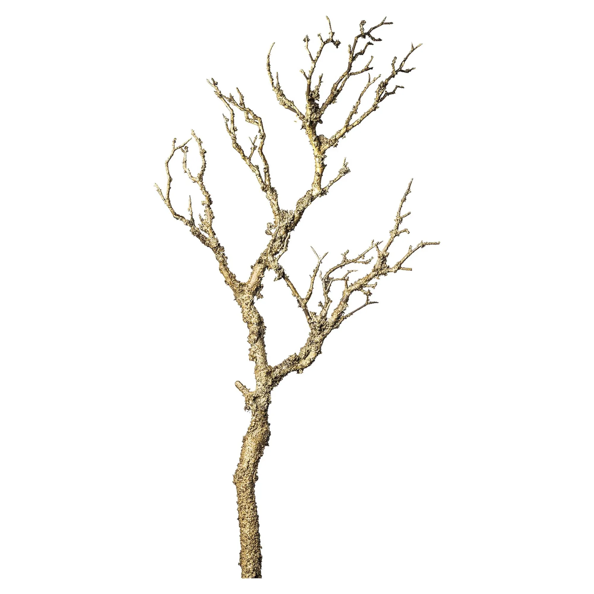 Sale Branche Artistique Deco Fleurs Individuelles