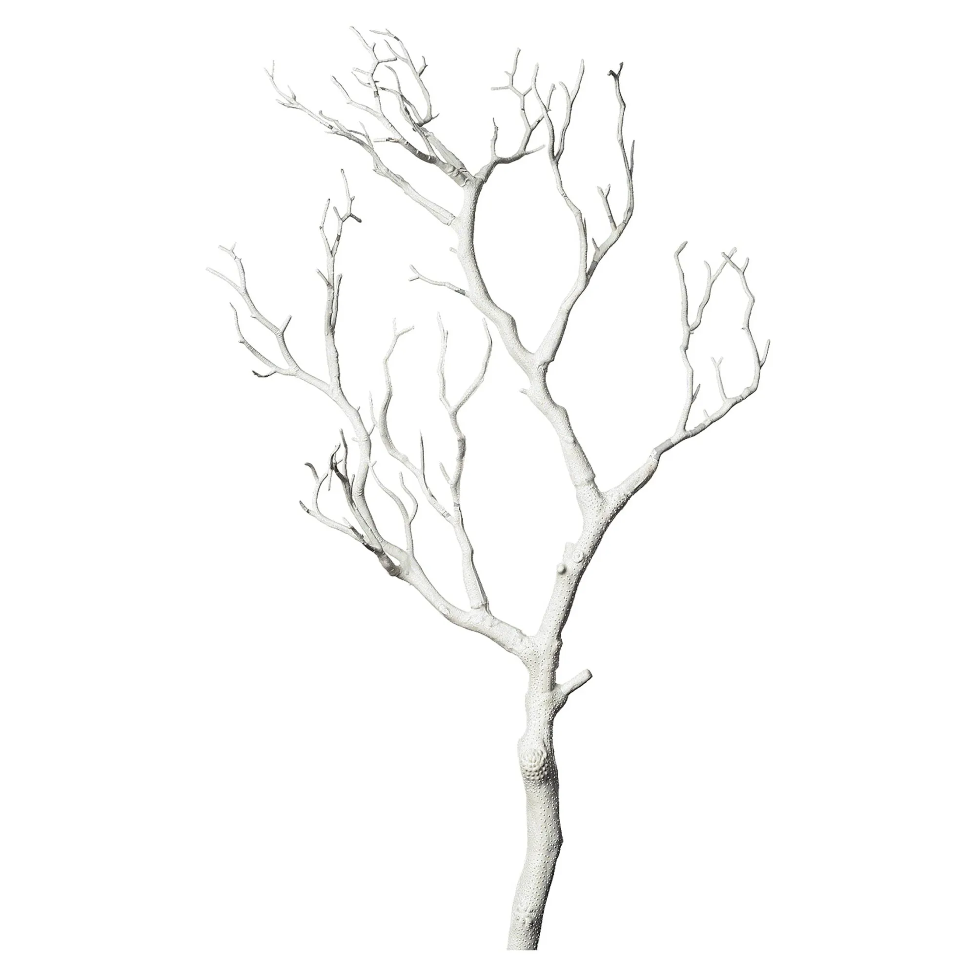 Fashion Branche Artistique Deco Fleurs Individuelles