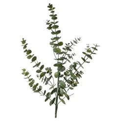 Cheap Branche Artistique Eucalyptus Fleurs Individuelles