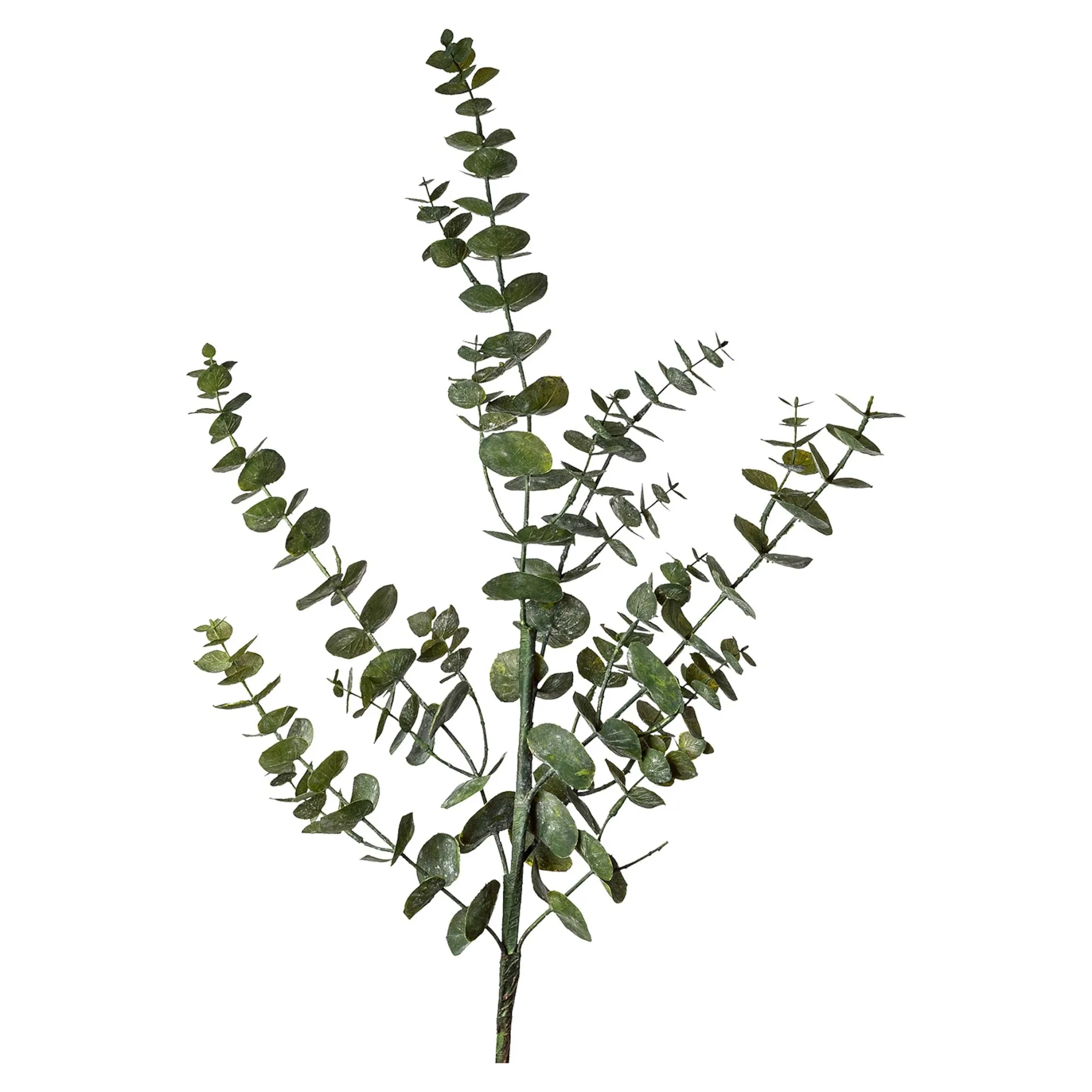 Cheap Branche Artistique Eucalyptus Fleurs Individuelles