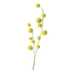 Online Branche Artistique Fruit Fleurs Individuelles
