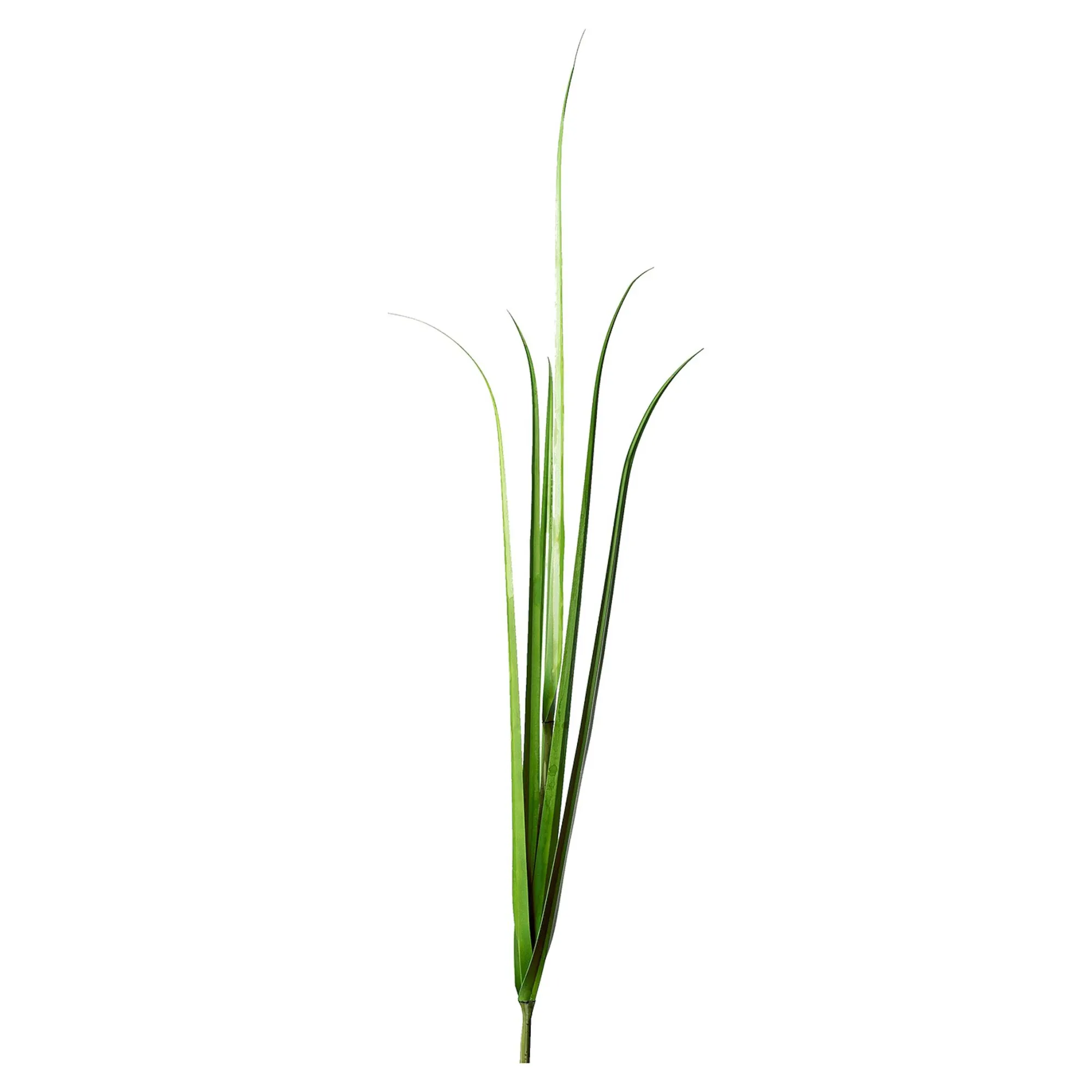 Outlet Branche Artistique Herbe Fleurs Individuelles