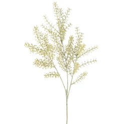 Best Branche Artistique Herbes Fleurs Individuelles