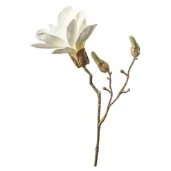 Flash Sale Branche Artistique Magnolia Fleurs Individuelles