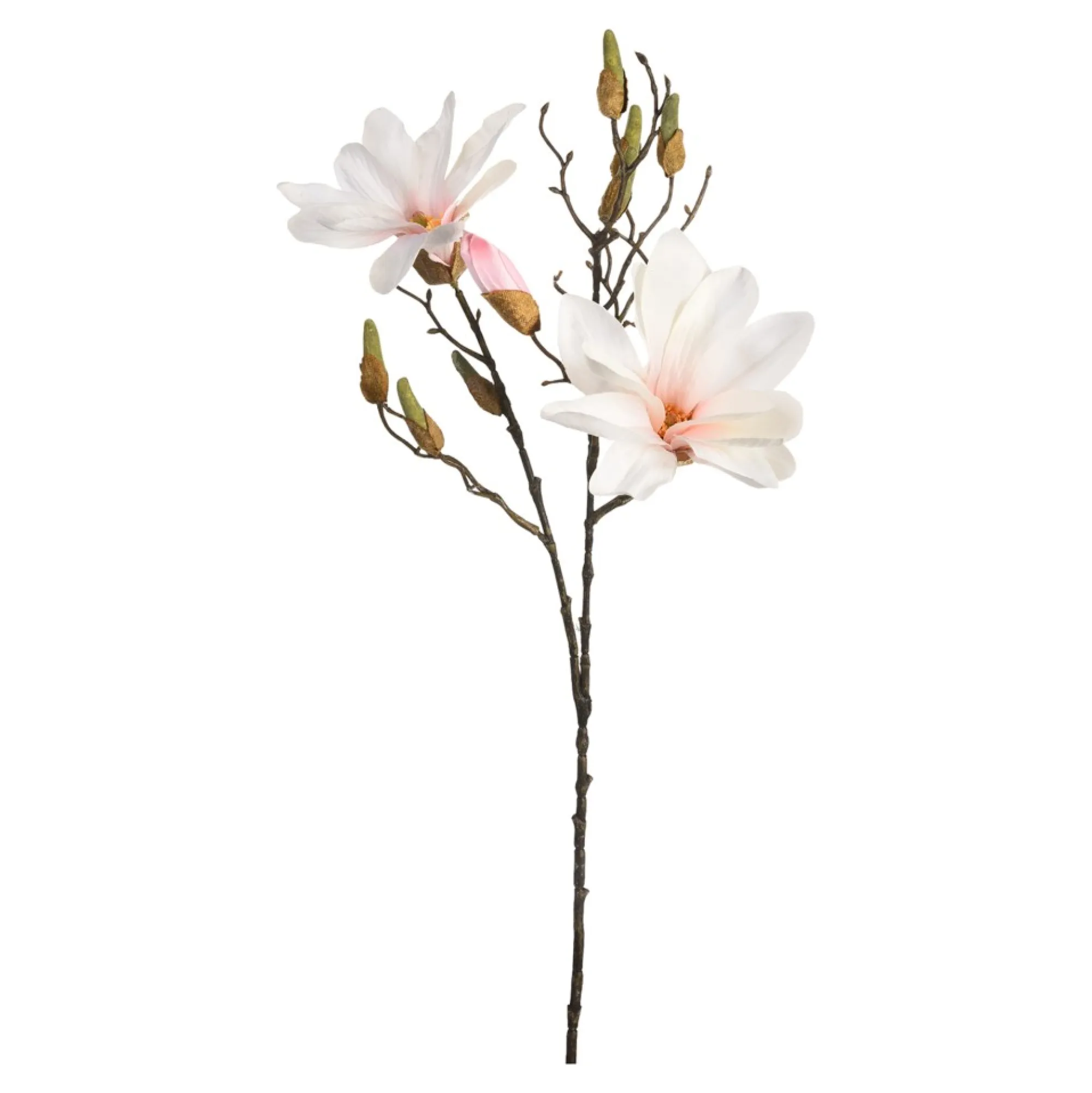 Fashion Branche Artistique Magnolia Dore Fleurs Individuelles