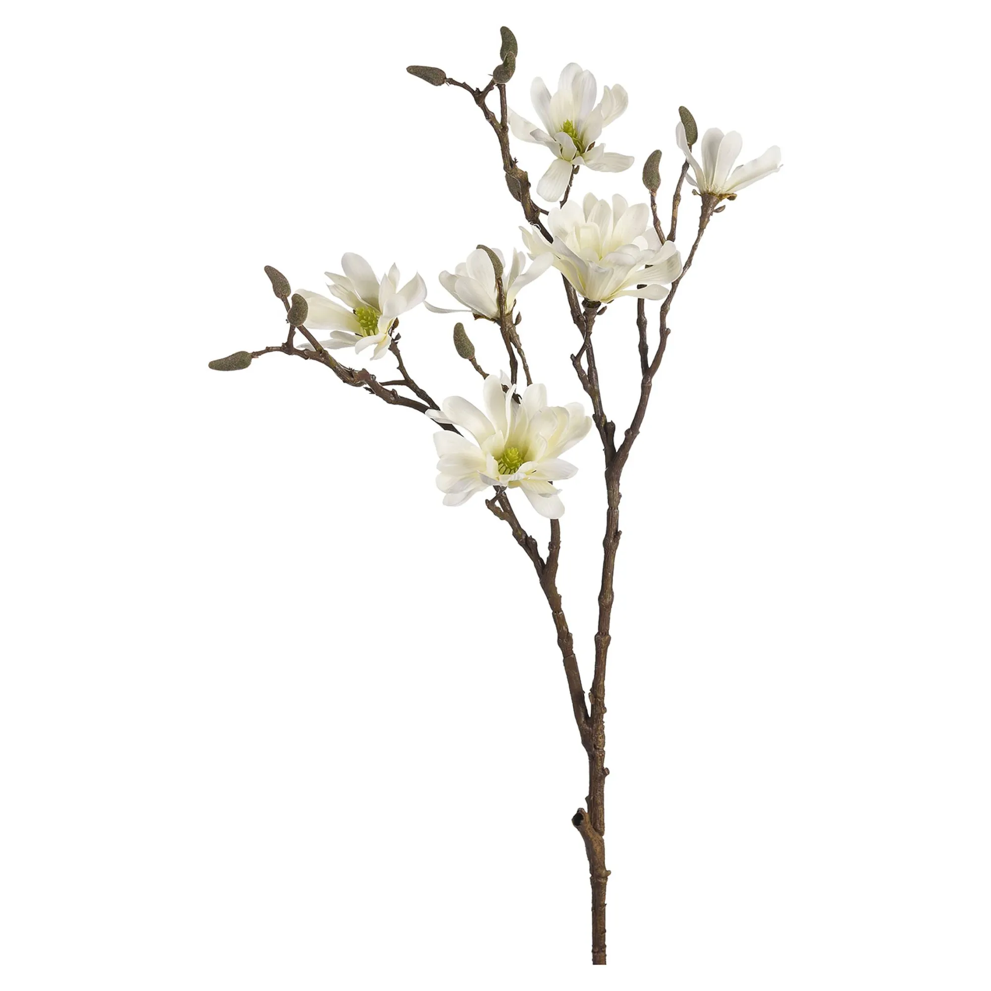 New Branche Artistique Magnolia Fleurs Individuelles
