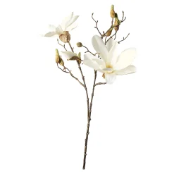 Cheap Branche Artistique Magnolia Fleurs Individuelles
