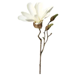 Online Branche Artistique Magnolia Fleurs Individuelles