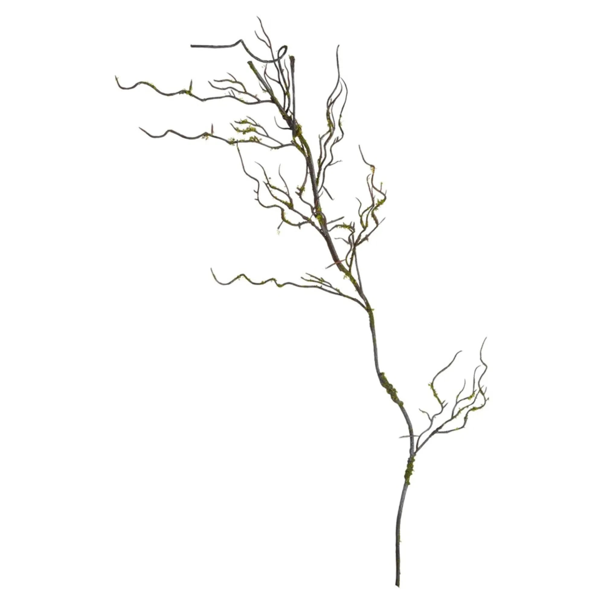 Clearance Branche Artistique Mousse Idées De Cadeaux