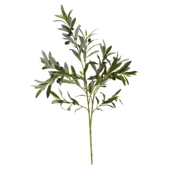 Hot Branche Artistique Olives Fleurs Individuelles