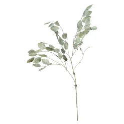 Fashion Branche Artistique Robinia Fleurs Individuelles
