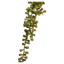 Online Branche Artistique Succulente, Suspendue Fleurs Individuelles