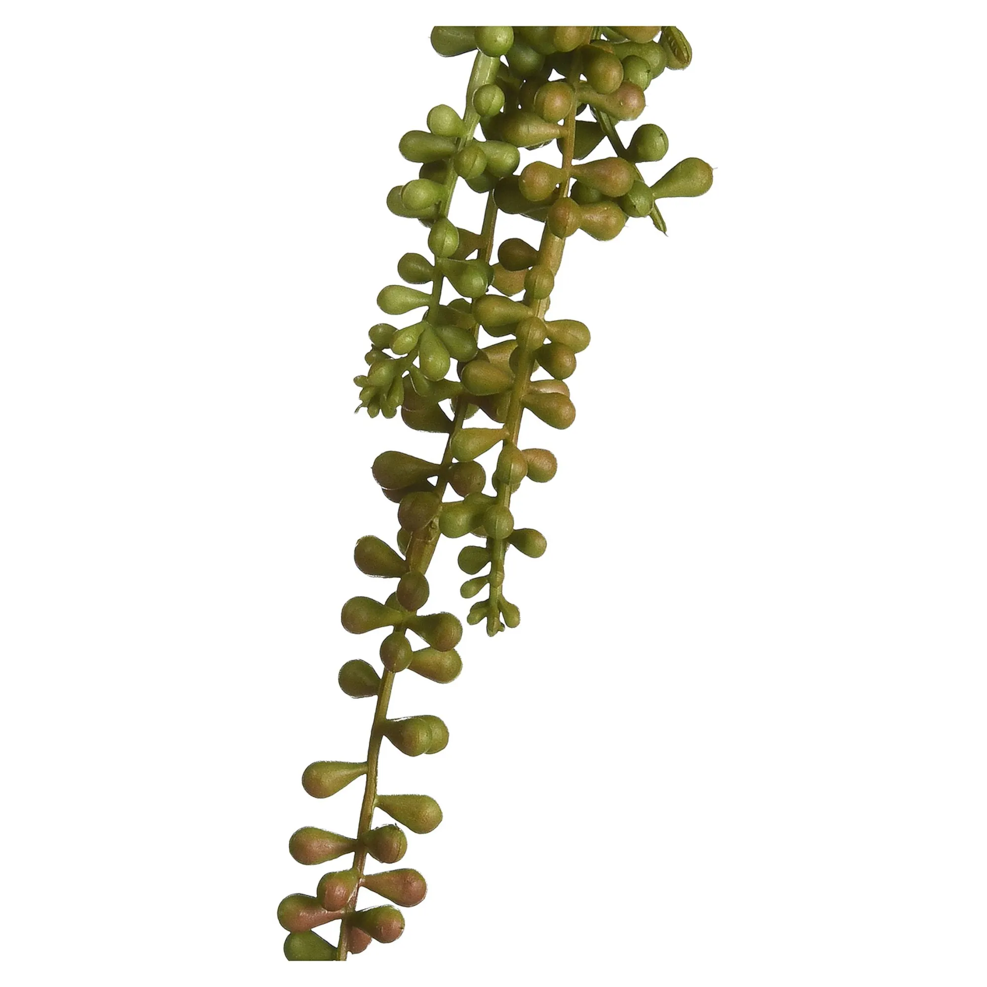Online Branche Artistique Succulente, Suspendue Fleurs Individuelles