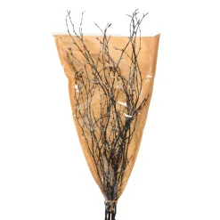 Store Branche Naturelle Scintillante Idées De Cadeaux