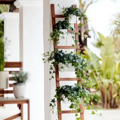 New Echelle Pour Plantes Amy, Pliable Idées De Cadeaux
