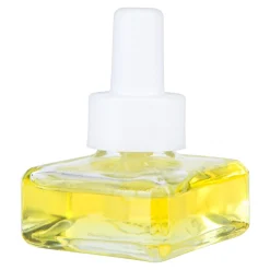 New Essentials Scent Plug Recharge Cedar Wood Idées De Cadeaux