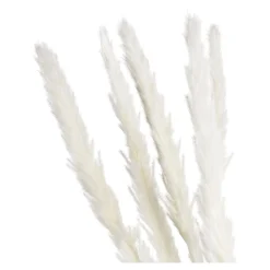 Store Fagot Sec D'Herbe De La Pampa Fleurs Individuelles