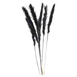 Clearance Fagot Sec D'Herbe De La Pampa Fleurs Individuelles