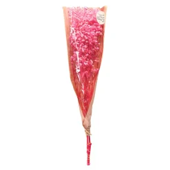 Flash Sale Fagots Secs De Gypsophile Fleurs Individuelles